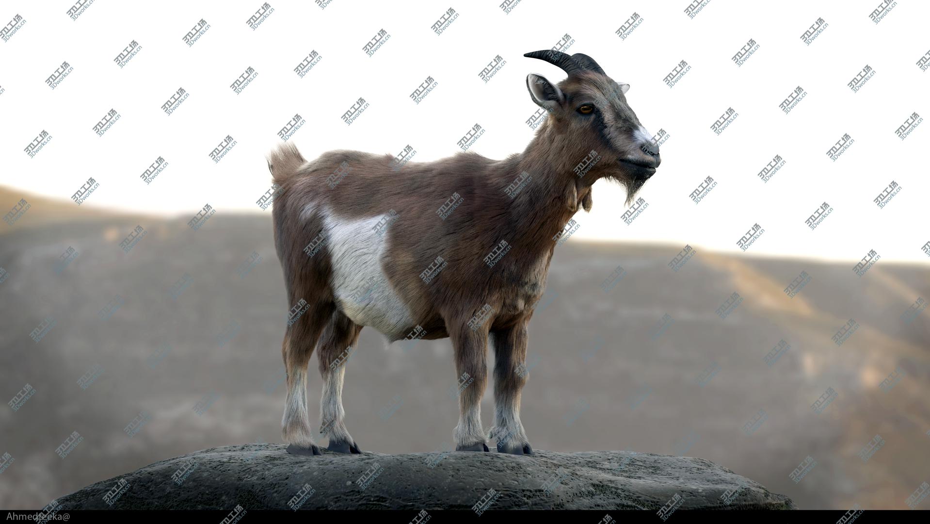 images/goods_img/202104092/Goat-Fur-Rigged model/1.jpg